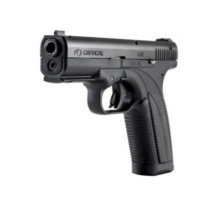 Pistol